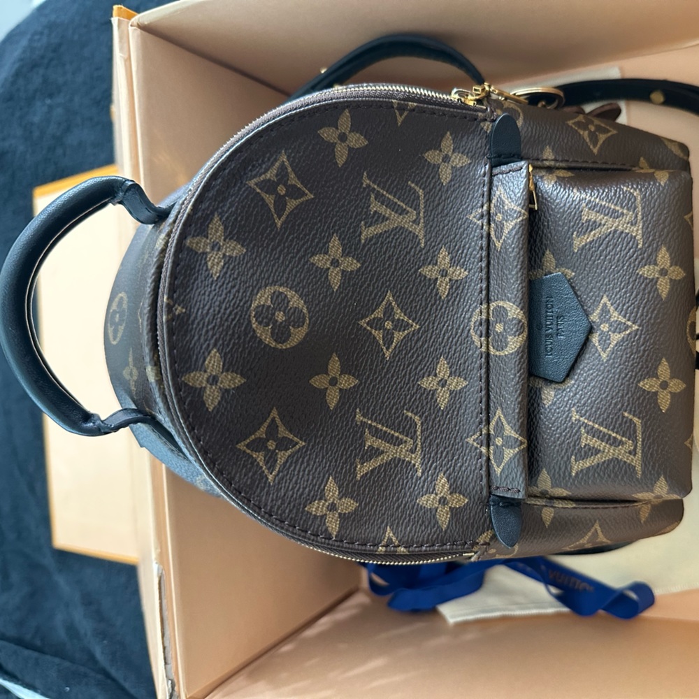 Authentic Louis Vuitton Mini palm springs backpack